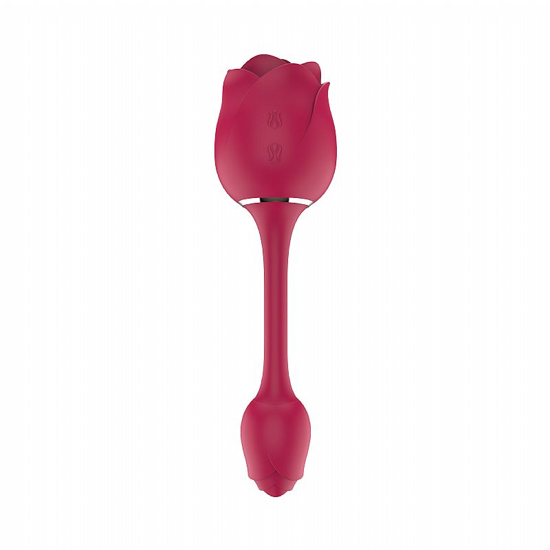 sugador de clitoris