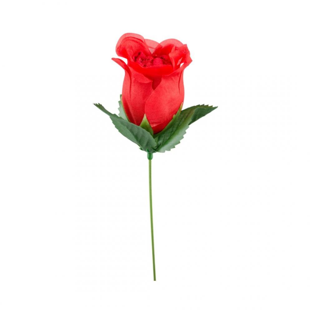 Rosa Perfumada Com Calcinha Fio Dental Cor Vermelha