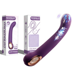 Vibrador Ponto G Recarregável 9 Modos de Vibração Silicone